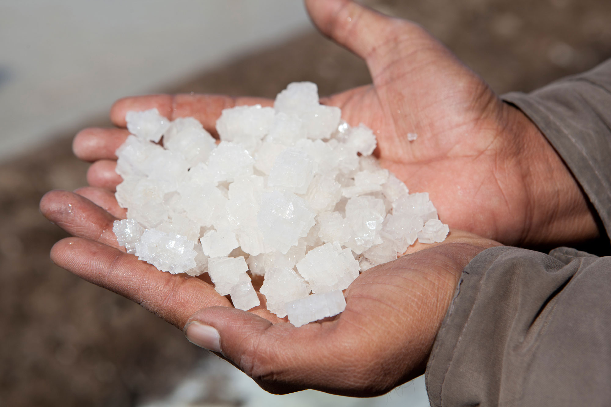 Salt in the hands of a salt farmer