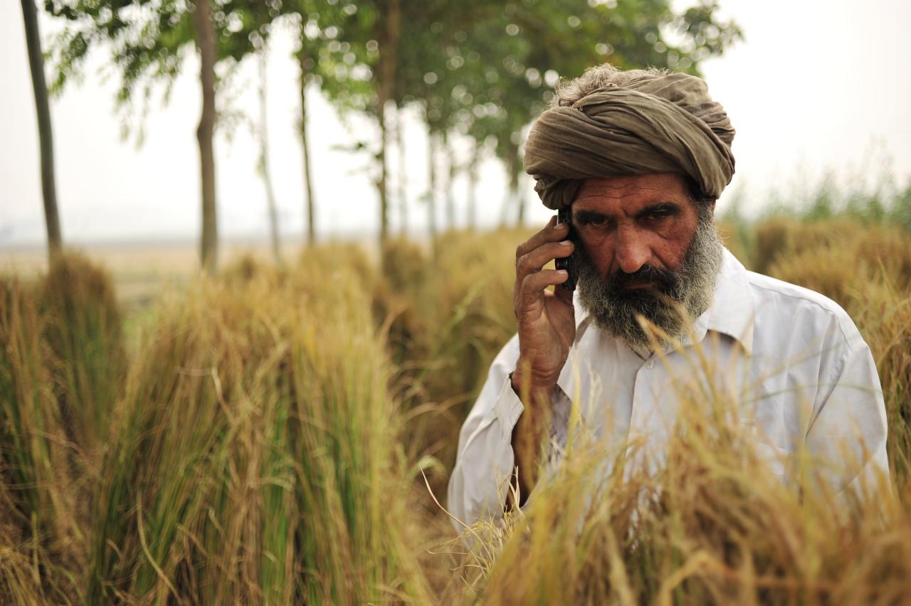 A farmer talking on the phone on the field