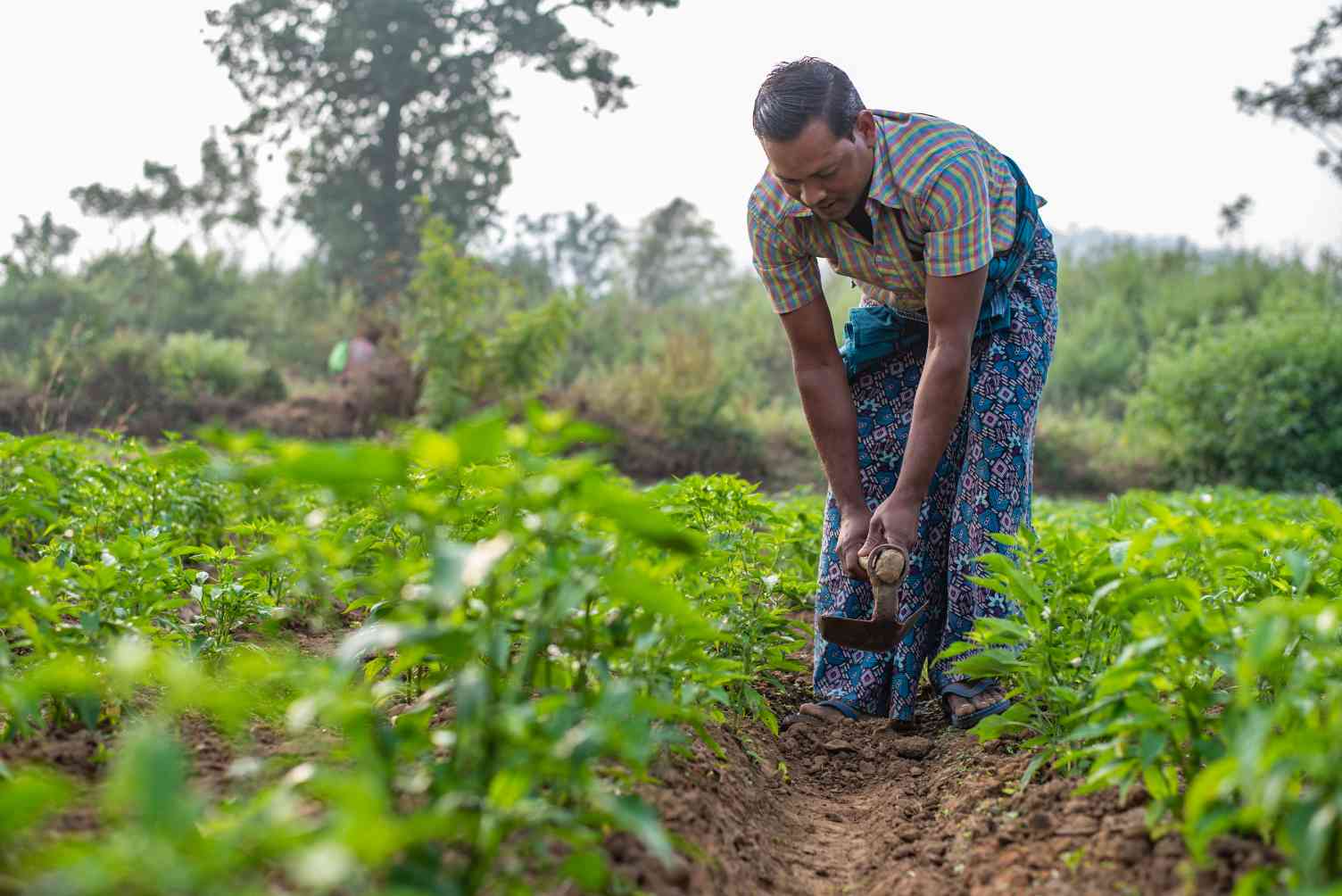 farmer working on a field in orissa-rural india