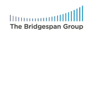 The Bridgespan Group-Image