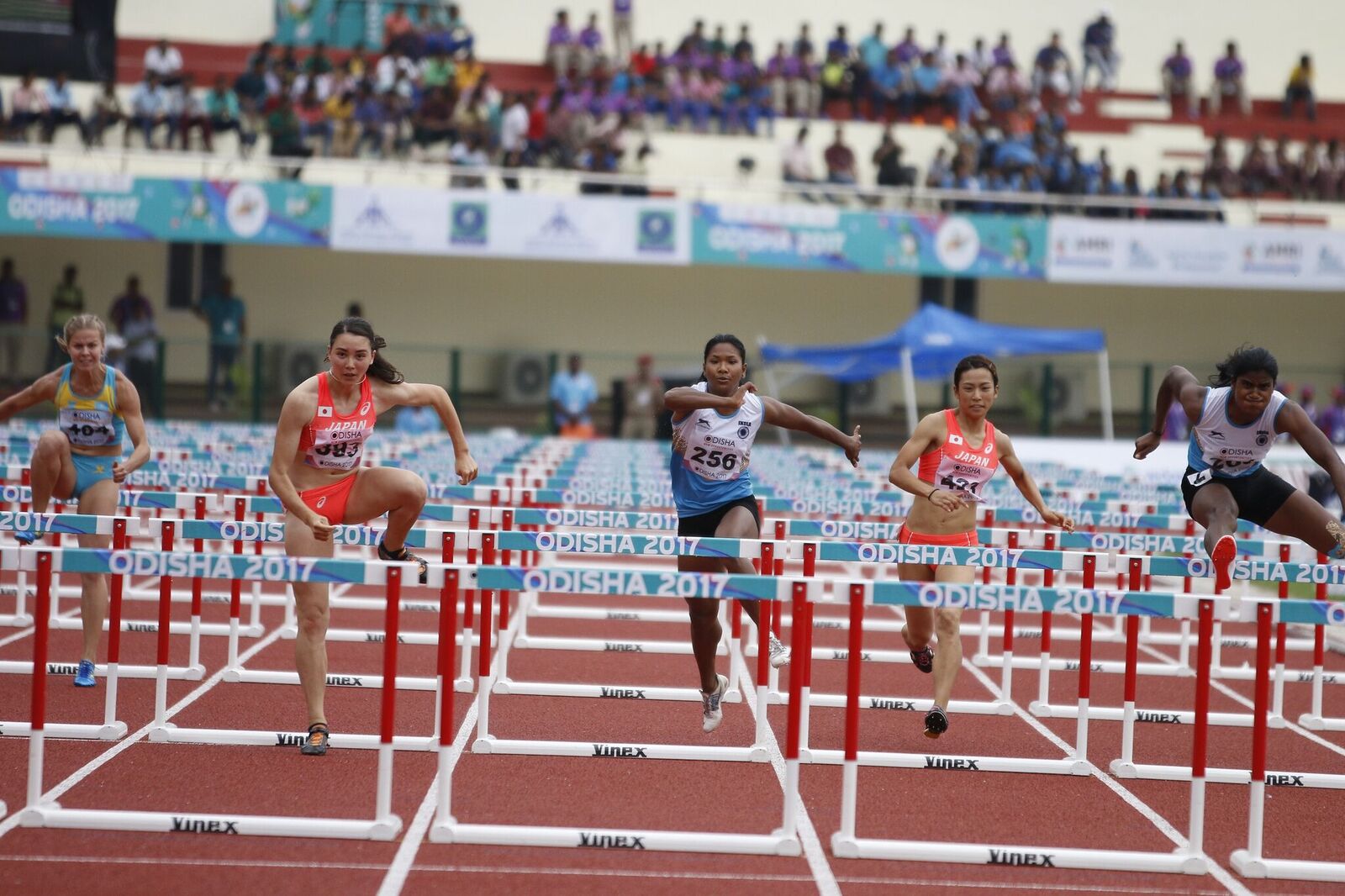 Female athletes competing in a hurdles race