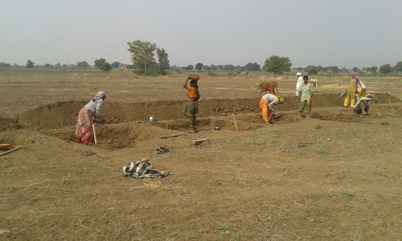 Rainfed Farming