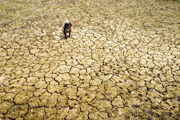 barren land farmer