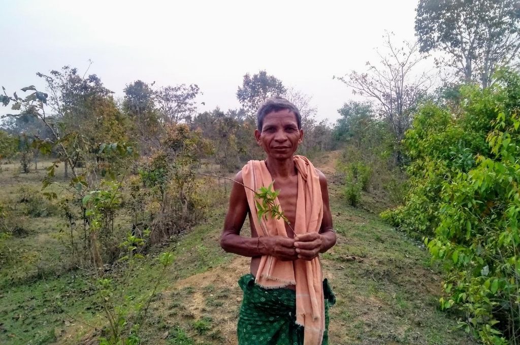 photo of a man holding a plant standing in a forest in Odisha-conservation