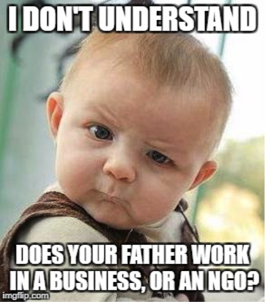 development sector parents