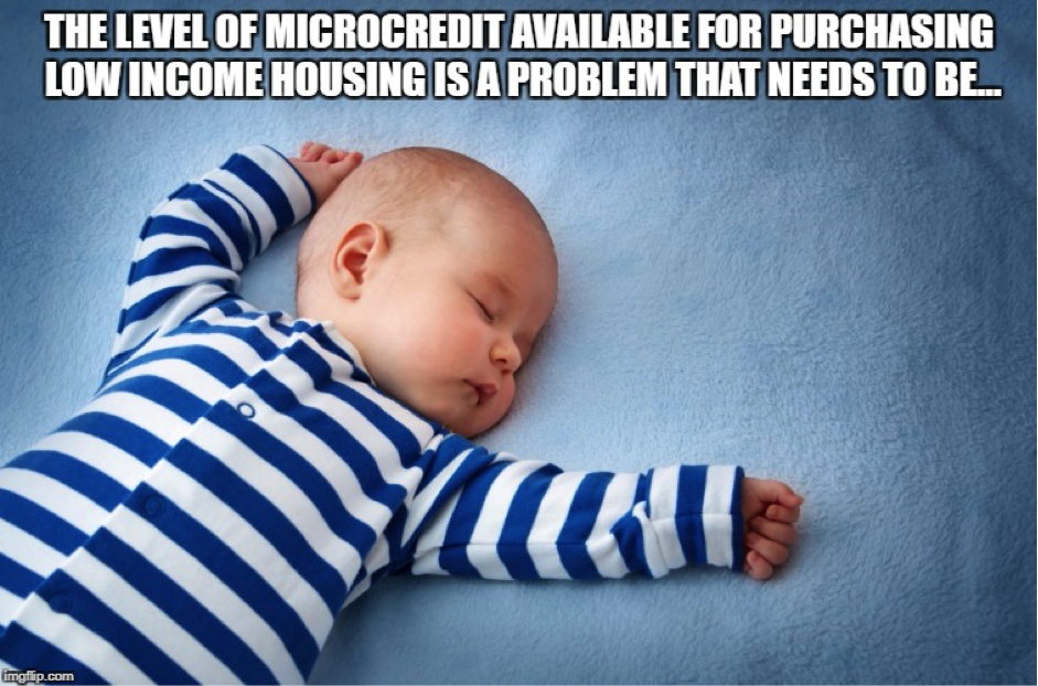 development sector parents