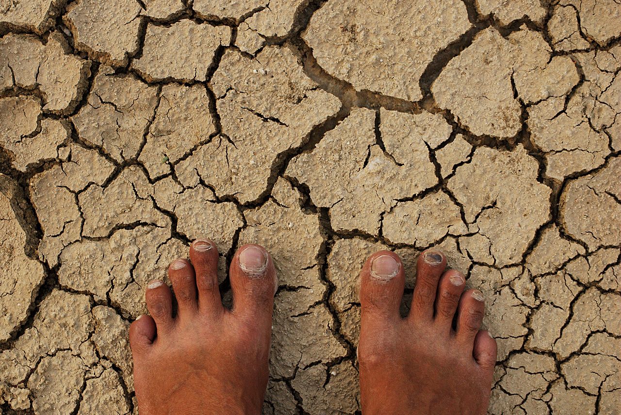 barren land with dry feet