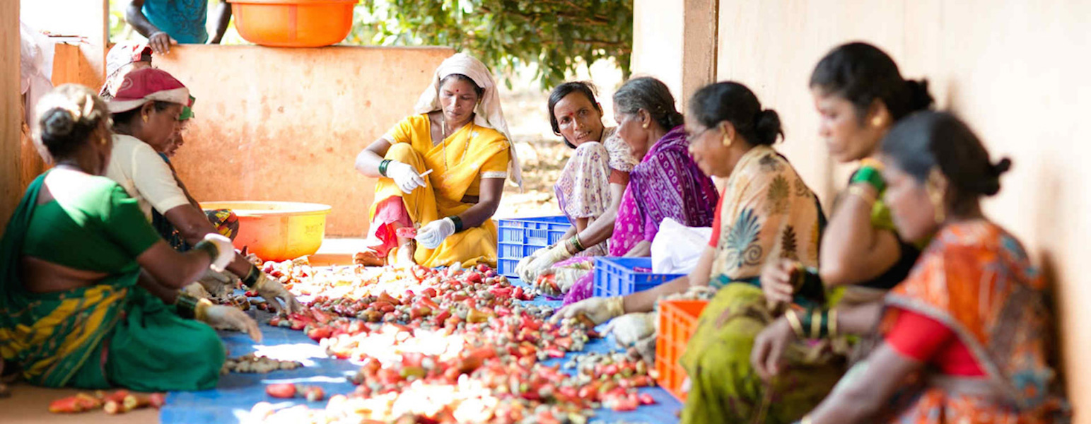 women in a self help group preparing for midday meals