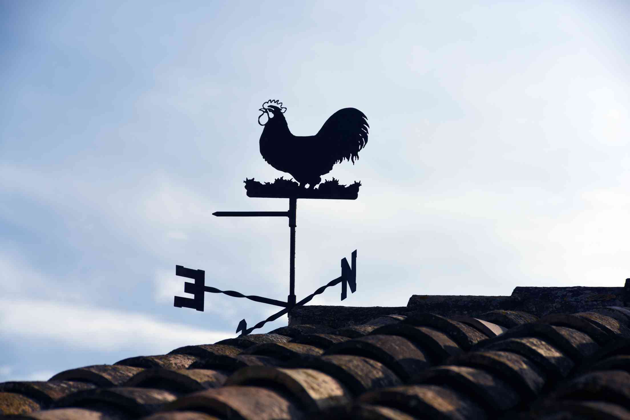 weather vane with rooster-forecast