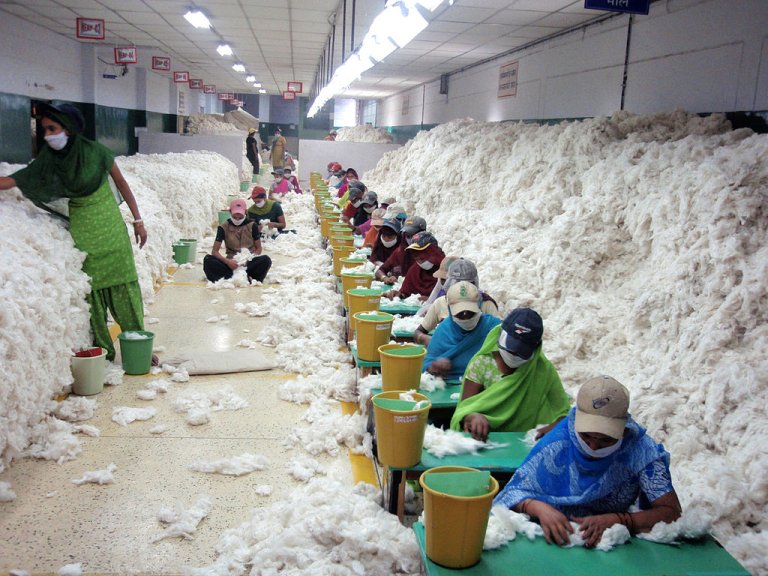 Workers manually decontaminating cotton before it goes for spinning_Wikimedia Commons_migration textile