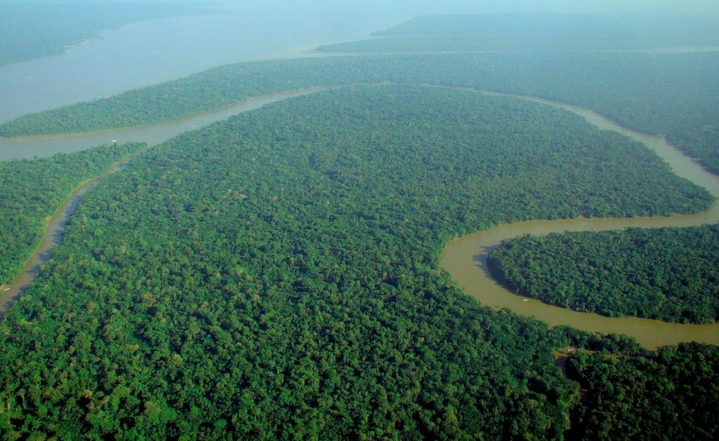 River flowing through a dense rainforest_Wikimedia Commons