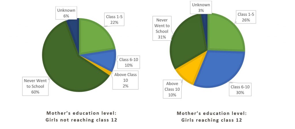 teenage girls education pie chart