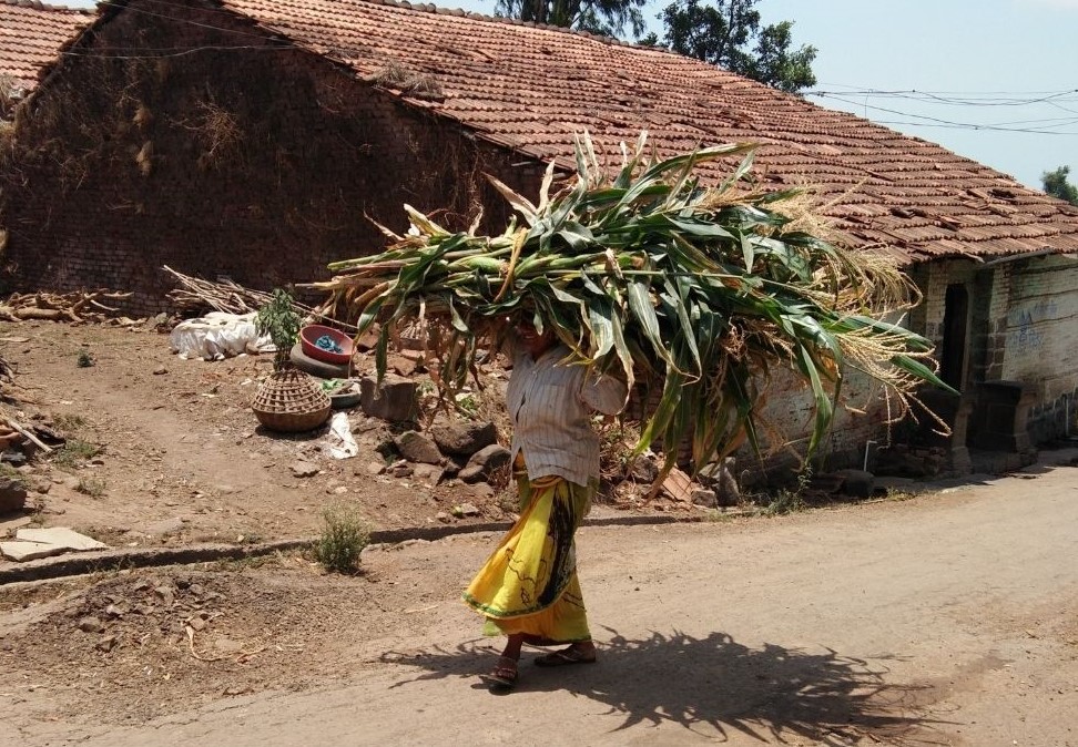 Women's-labour-Woman-carrying-firewood