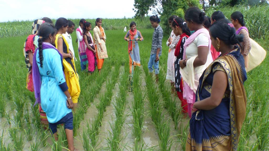 young women being trained in a field-rural youth