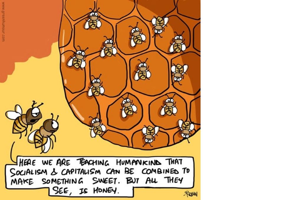 A comic about two bees staring at other bees on a hive and remarking that here we are trying to teach mankind that socialism and capitalism can be combined to make something sweet, but that all they see is honey-feel-good comics