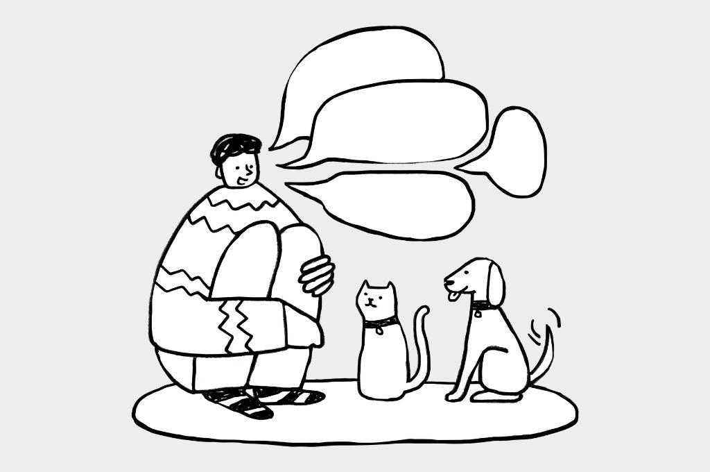 cartoon of a man speaking to a cat and dog-nonprofit humour