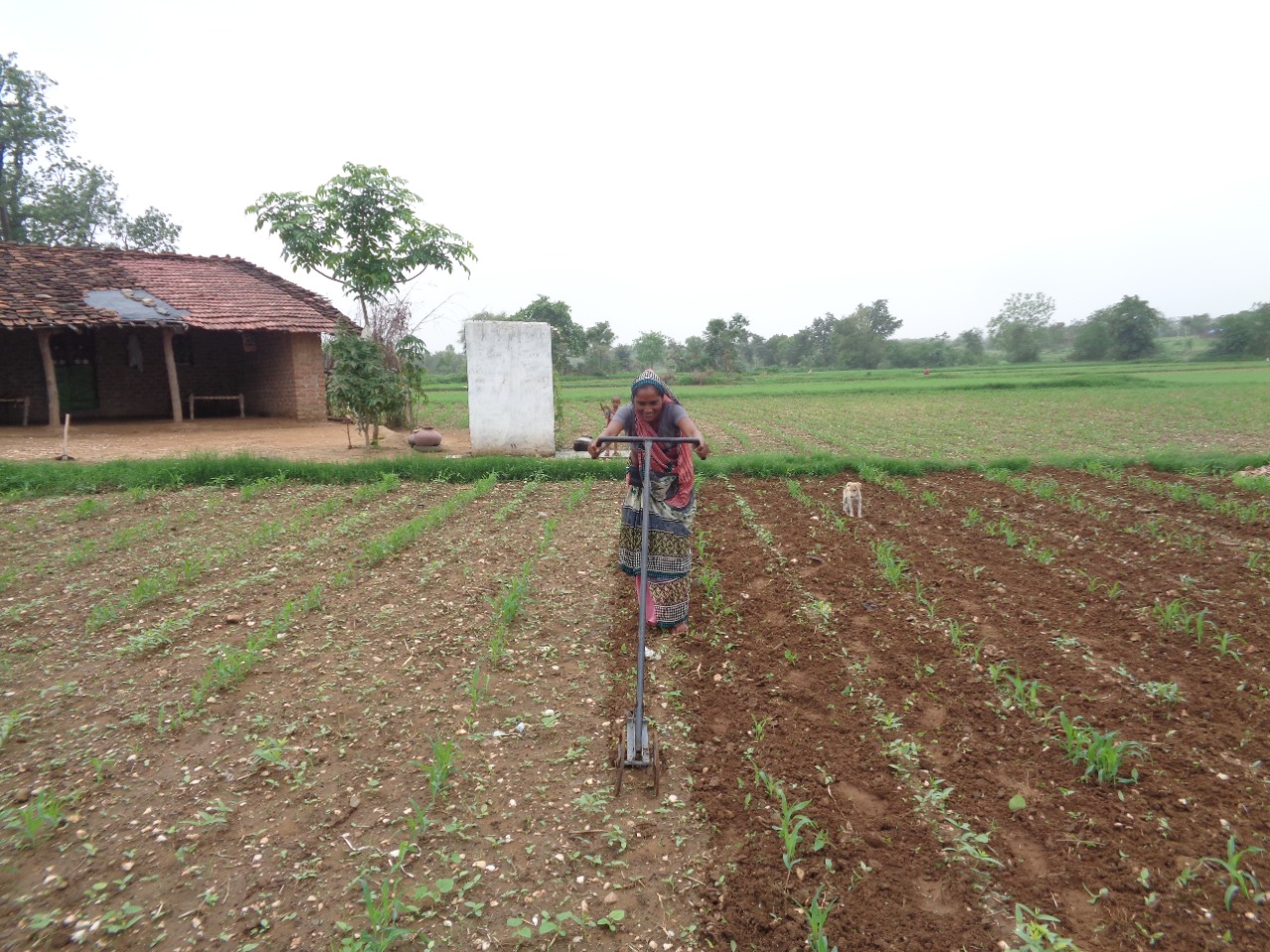 Atiben working in a field-paralegal