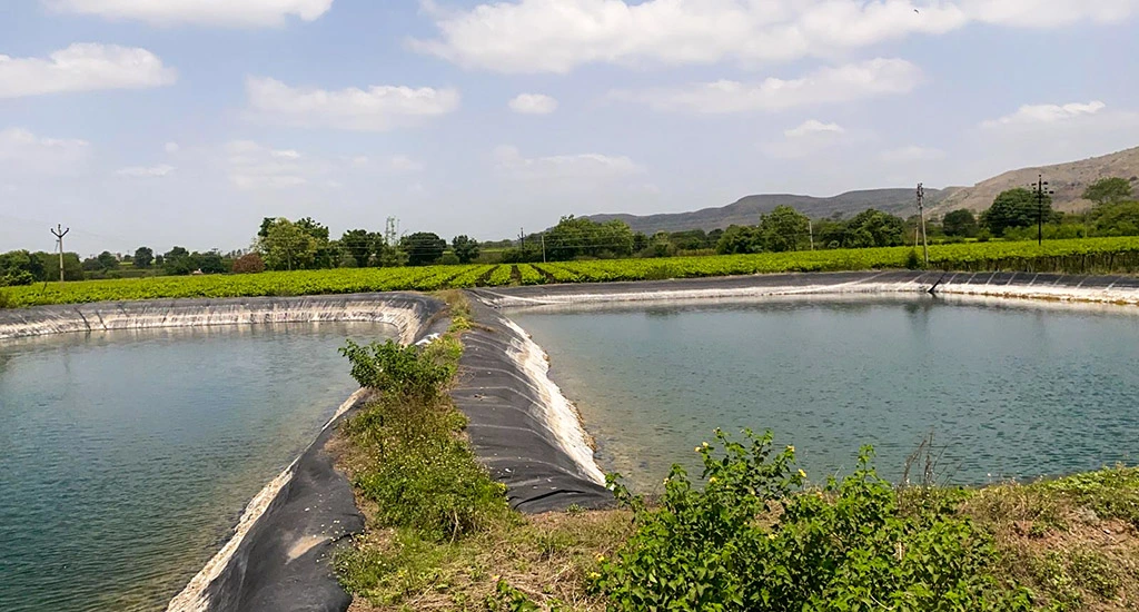 The image shows two ponds created in the middle of fields using bunds made of soil. The ponds are full of water and there is vegetation growing along their boundaries. In the background, farms and trees stretch into the distance._Farm ponds