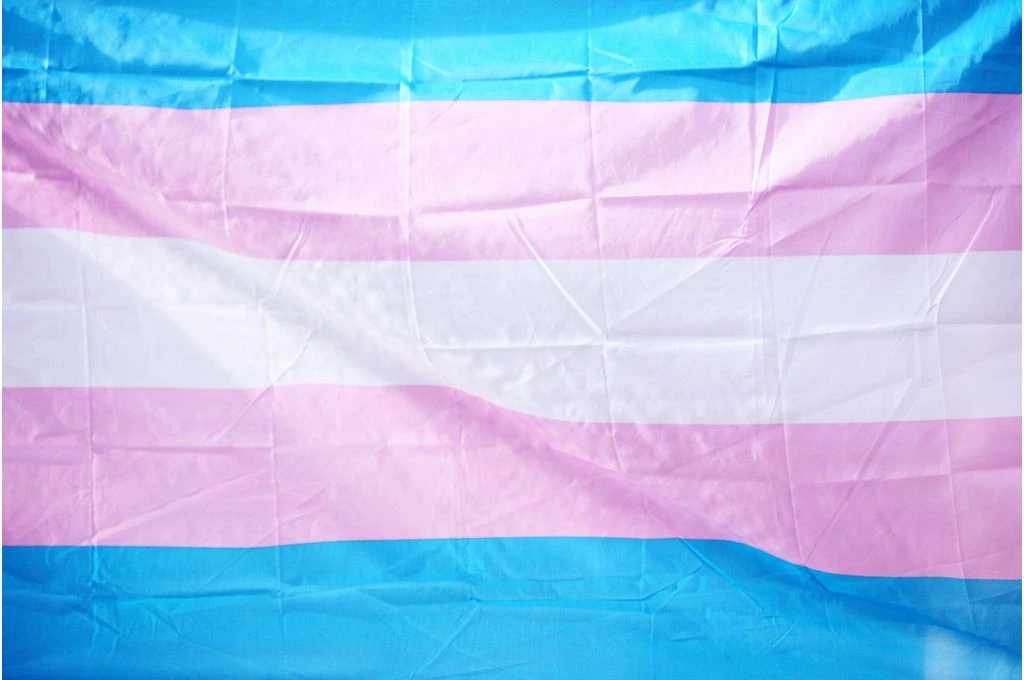 The image is a photo of the transgender pride flag. It has a blue horizontal line followed by individual lines of pink, white, pink, and a final line of blue._Trans women