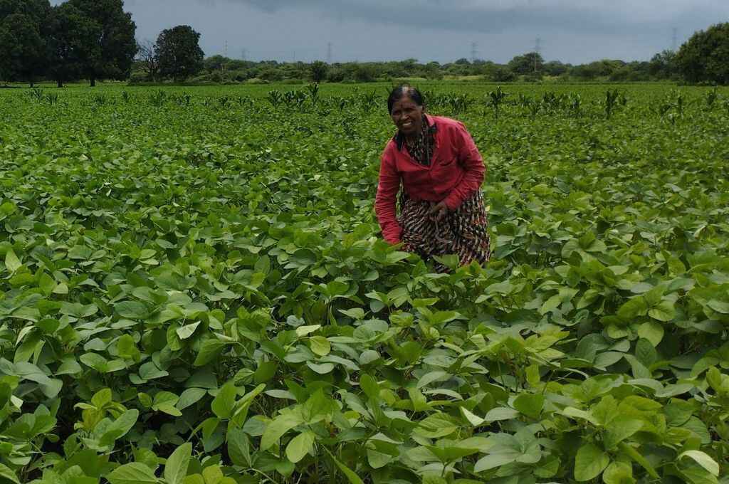 A woman farmer in a field_SSP-farming