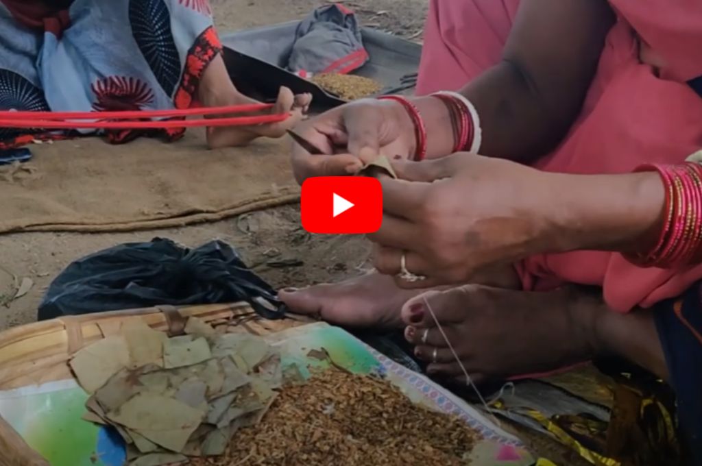 Women beedi rollers making beedis