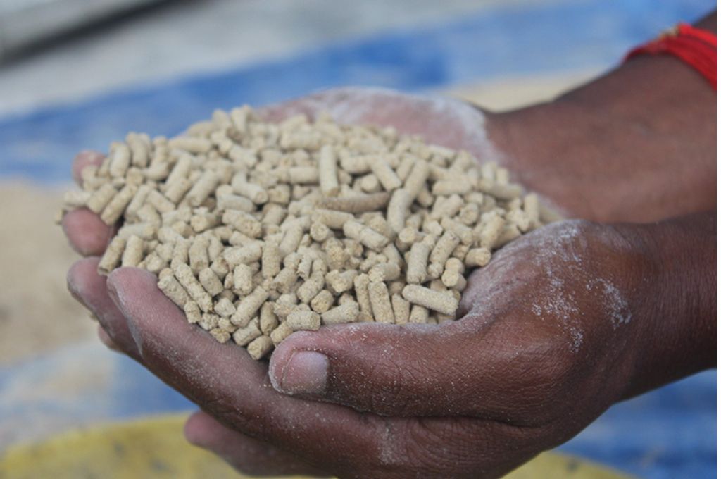 close-up of fish feeds in hands_fish farming