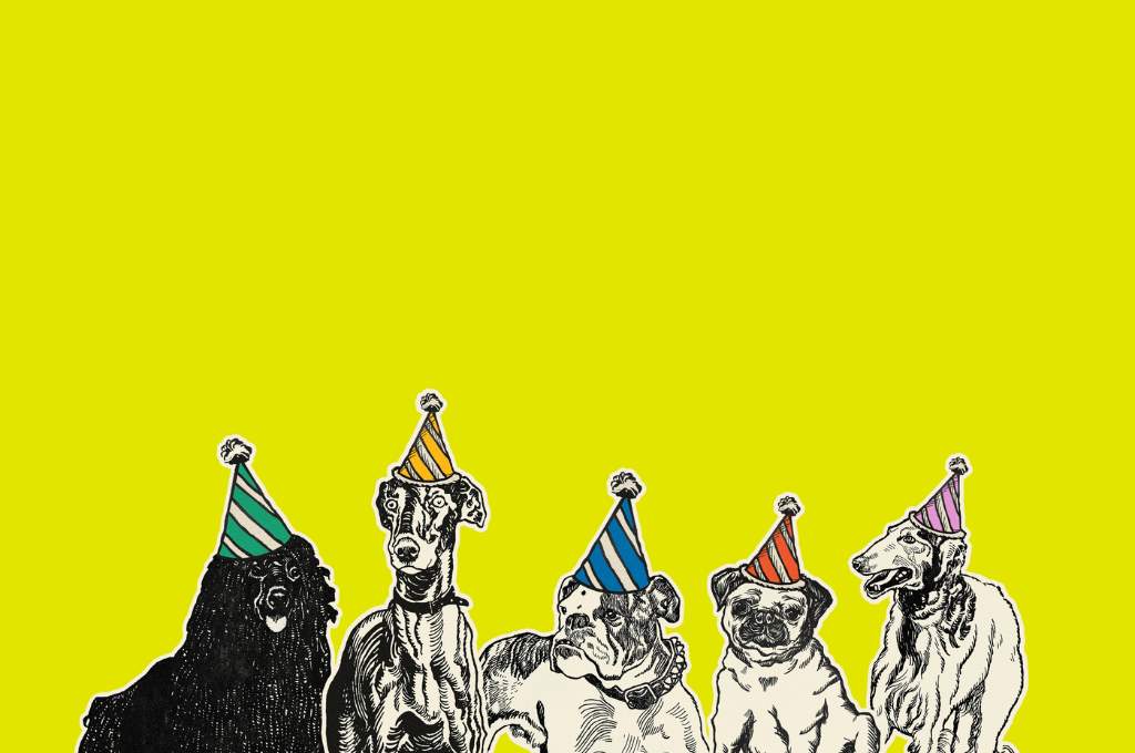 an illustration of dogs wearing party hats against a yellow green background_nonprofit humour