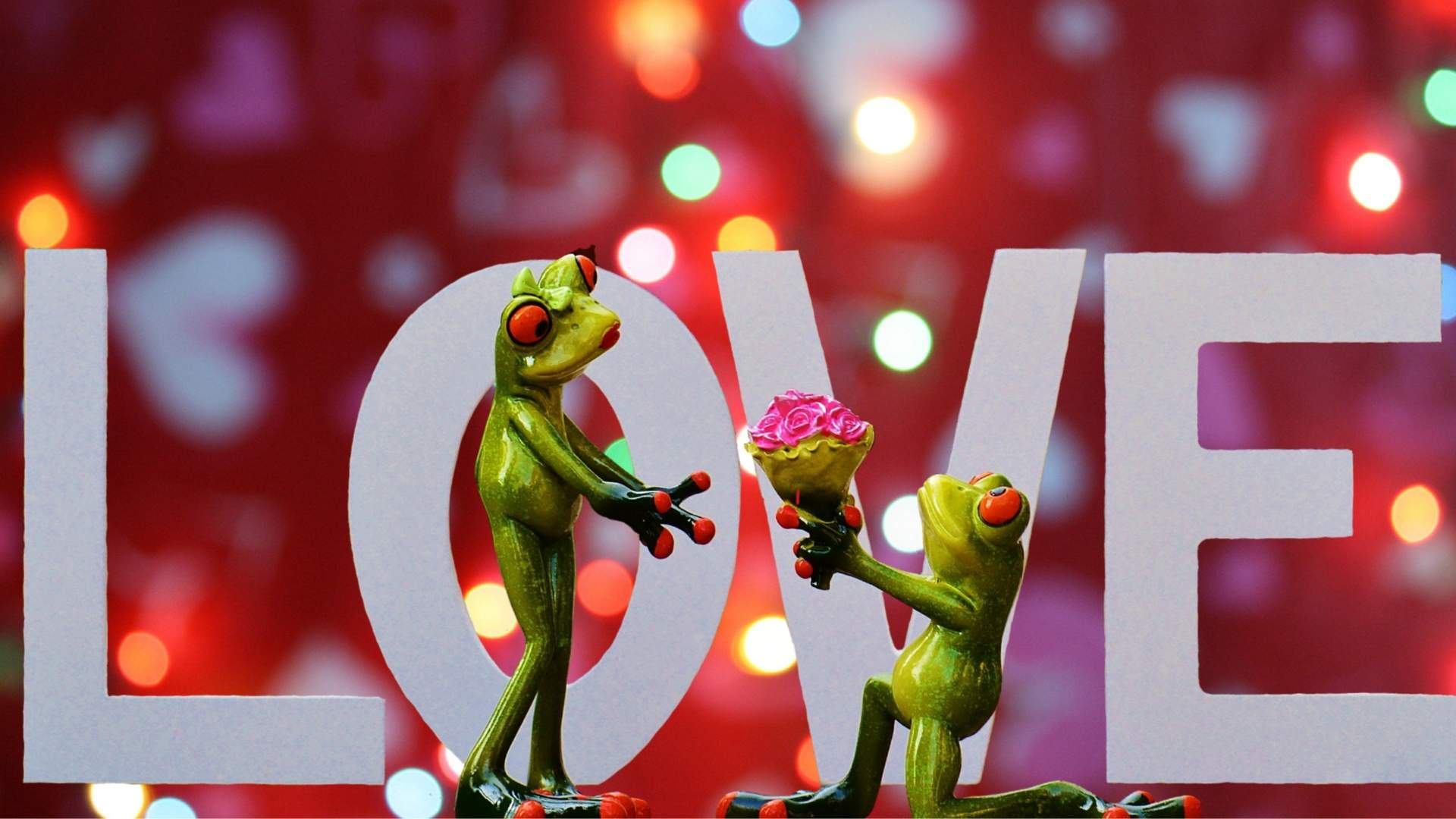 A frog offering a bouquet to another-nonprofit humour