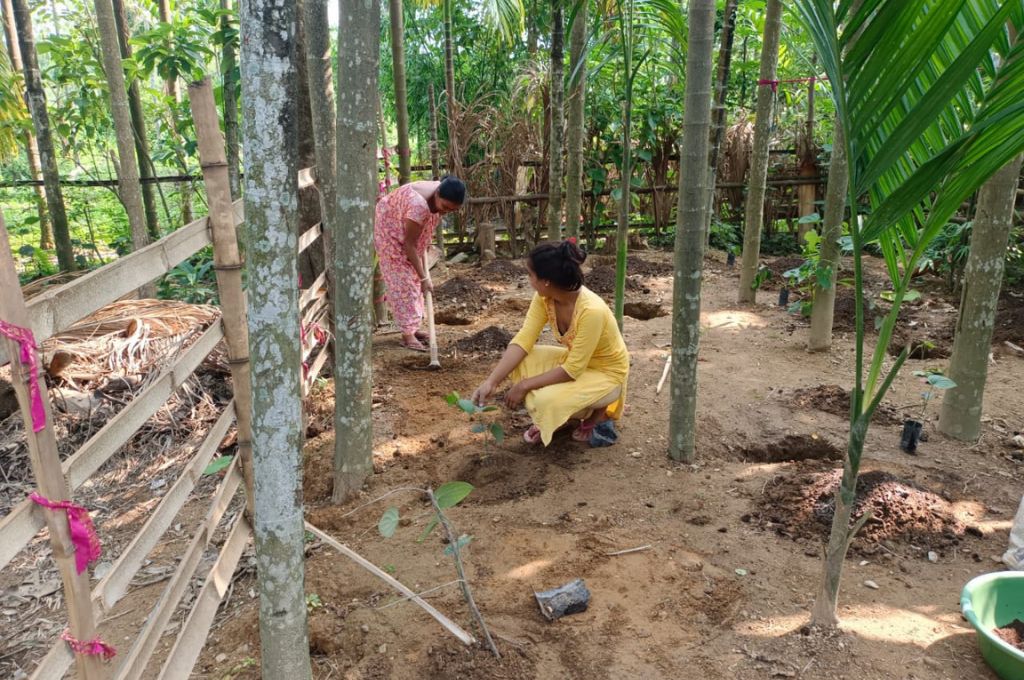 Two women working in the tea garden_tea garden