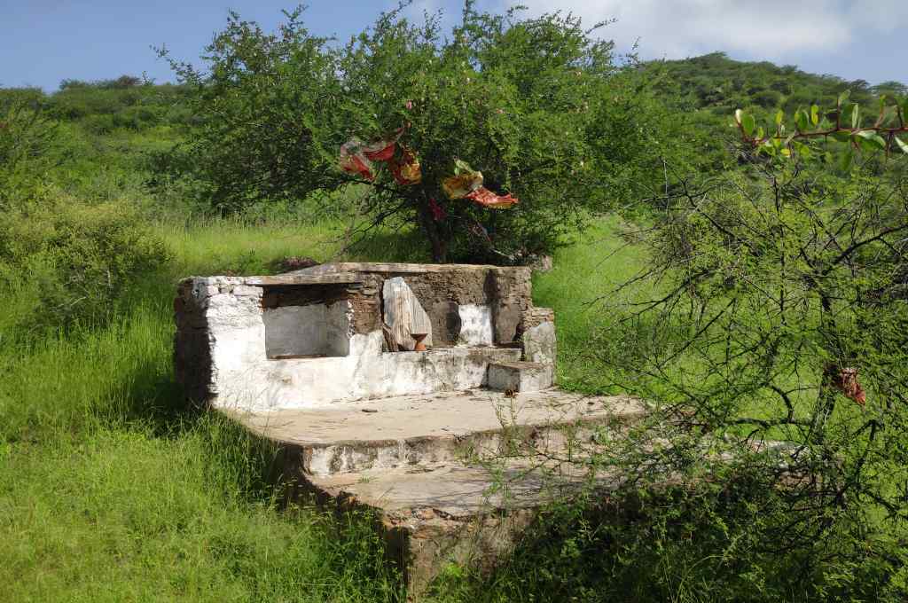 an unfinished structure and green grass--common land