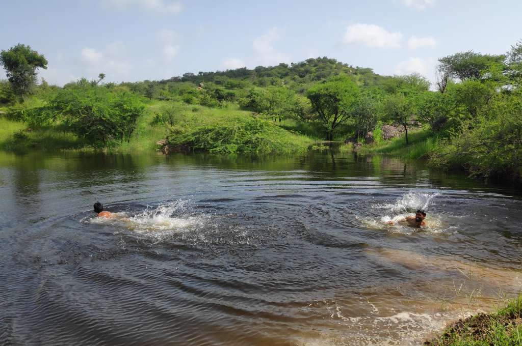 two men swimming in a pond--common land