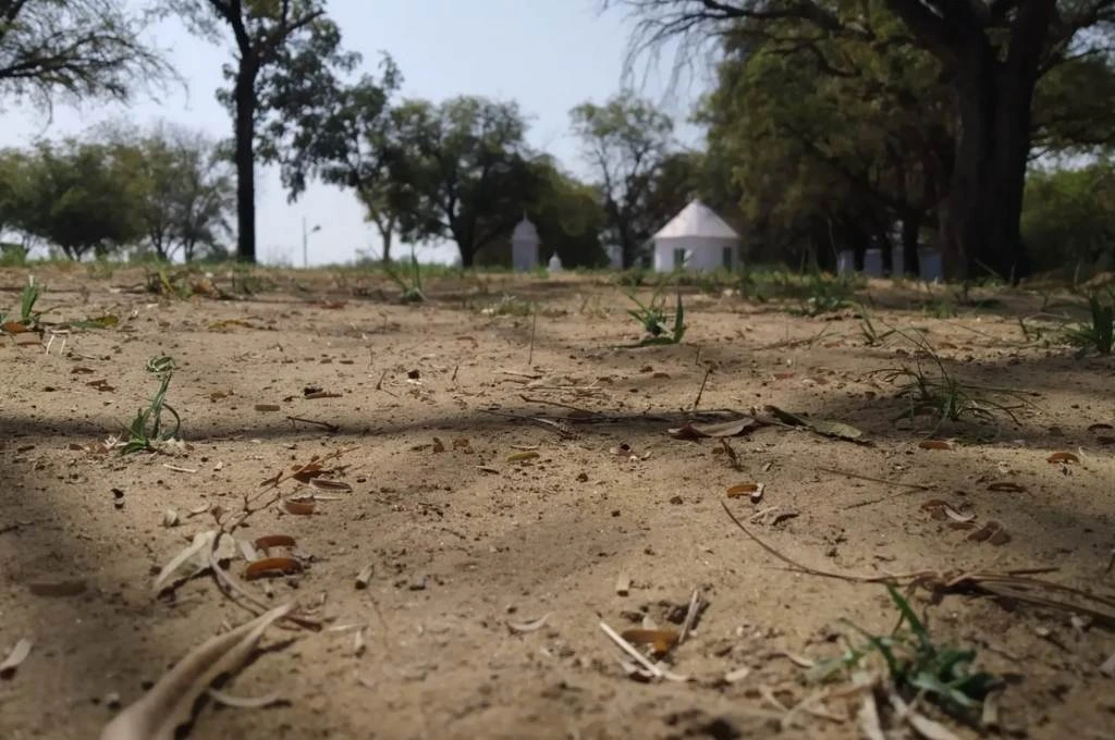 Straws on a dry land_climate change