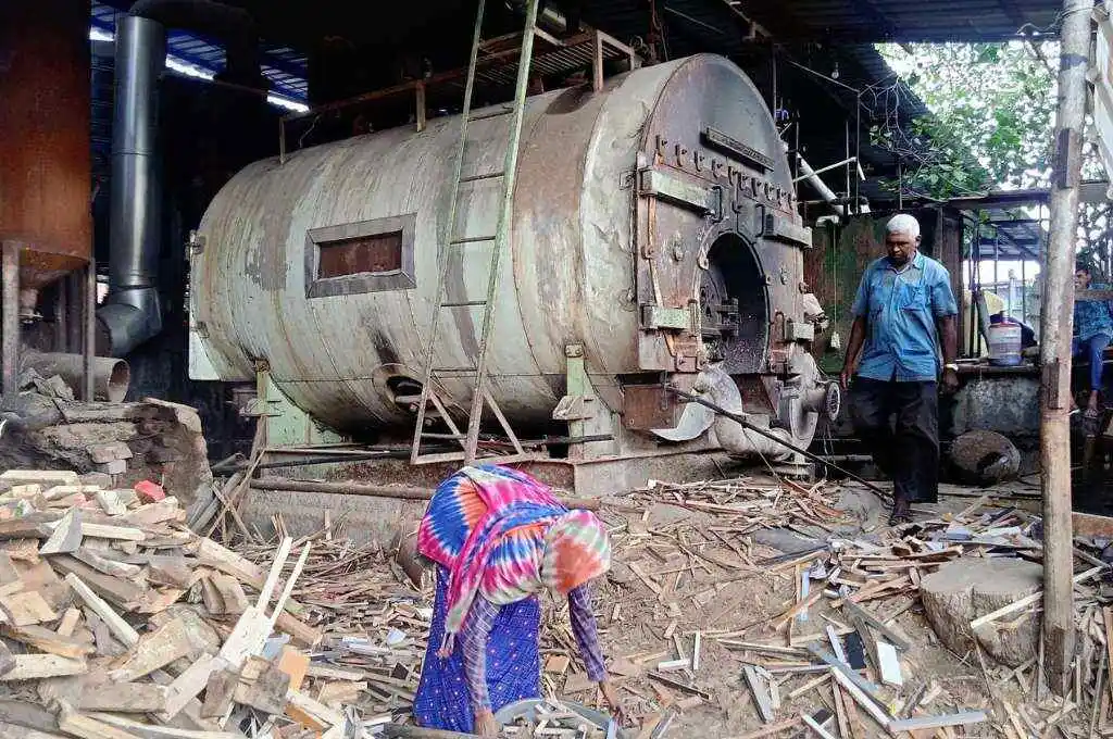 A female boiler worker collecting wood_boiler worker