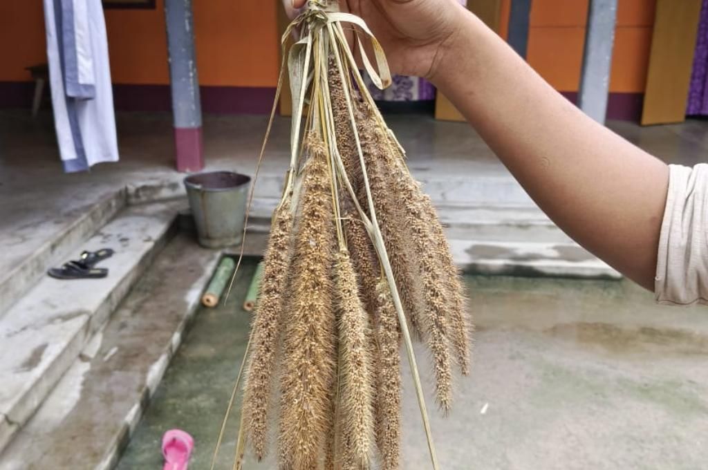 a hand holding millets-millet mission