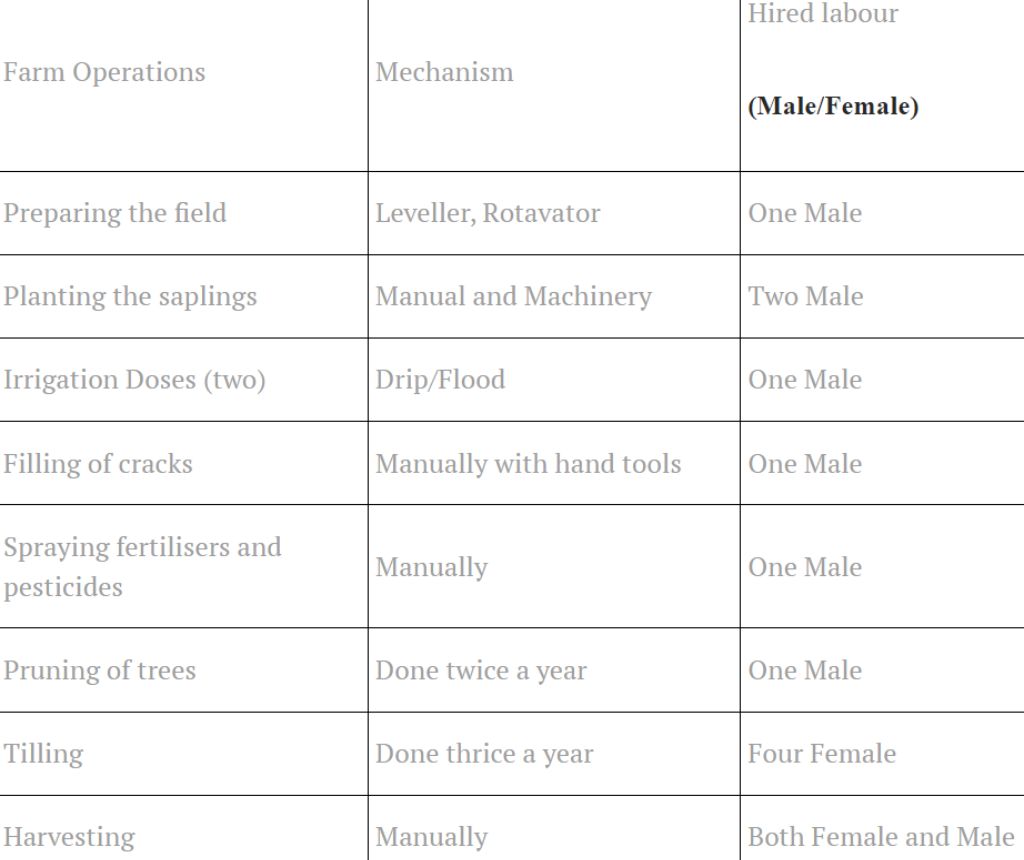 A table explaining farm operations based on labour_kinnow cultivation