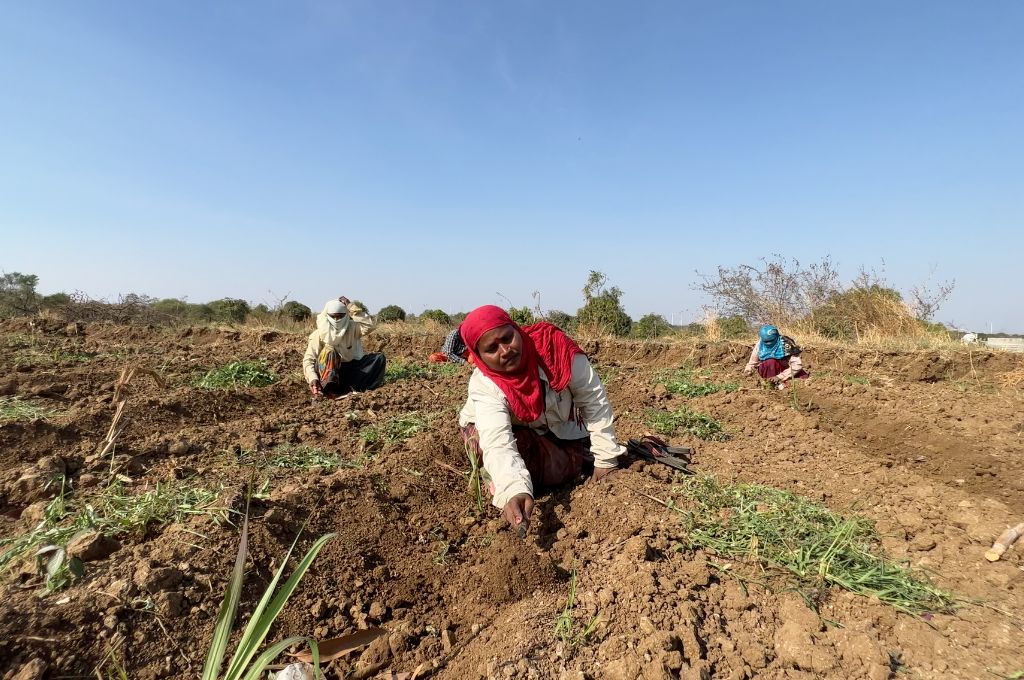 Women farmers in Osmanabad_water crisis