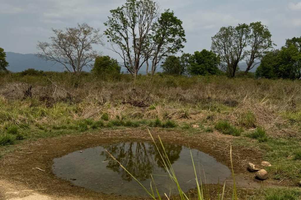 a small pond in the wilderness-solar polar