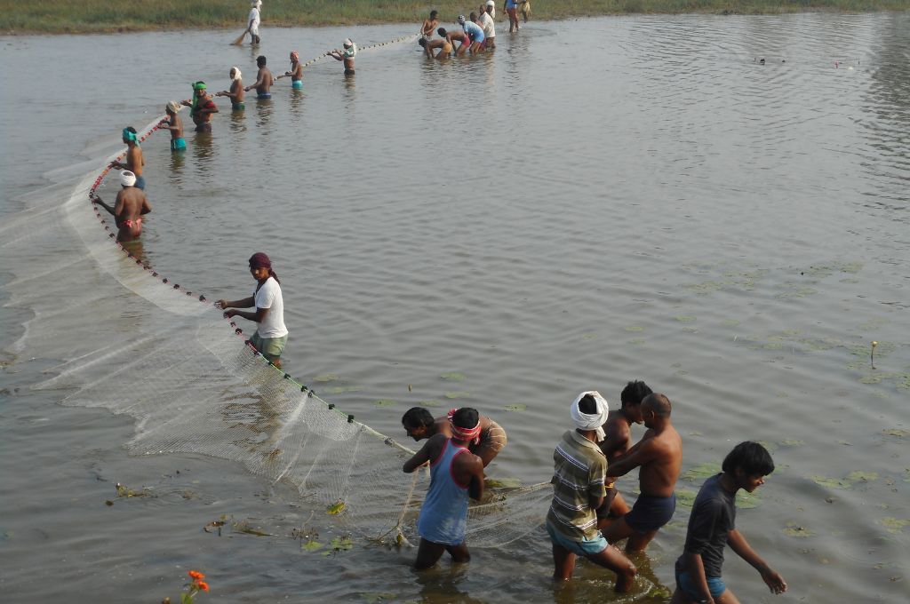 Fisherfolk handling the net in the waters_grassroots