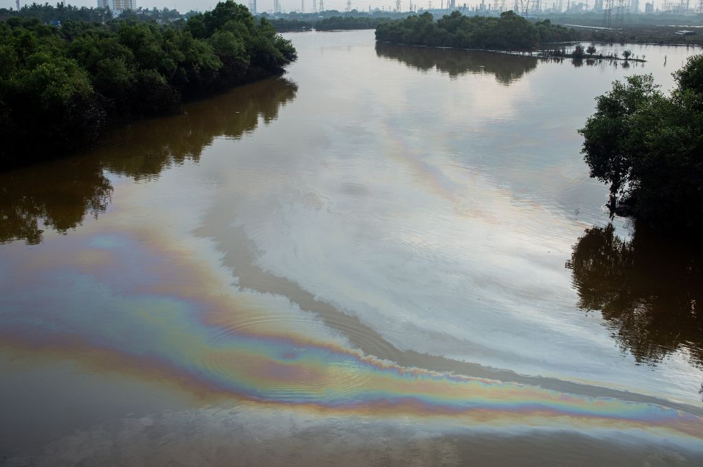 Part of the daily oil leakage in the Ennore mangroves that spills into and pollutes the Kosasthalaiyar river_industrialisation