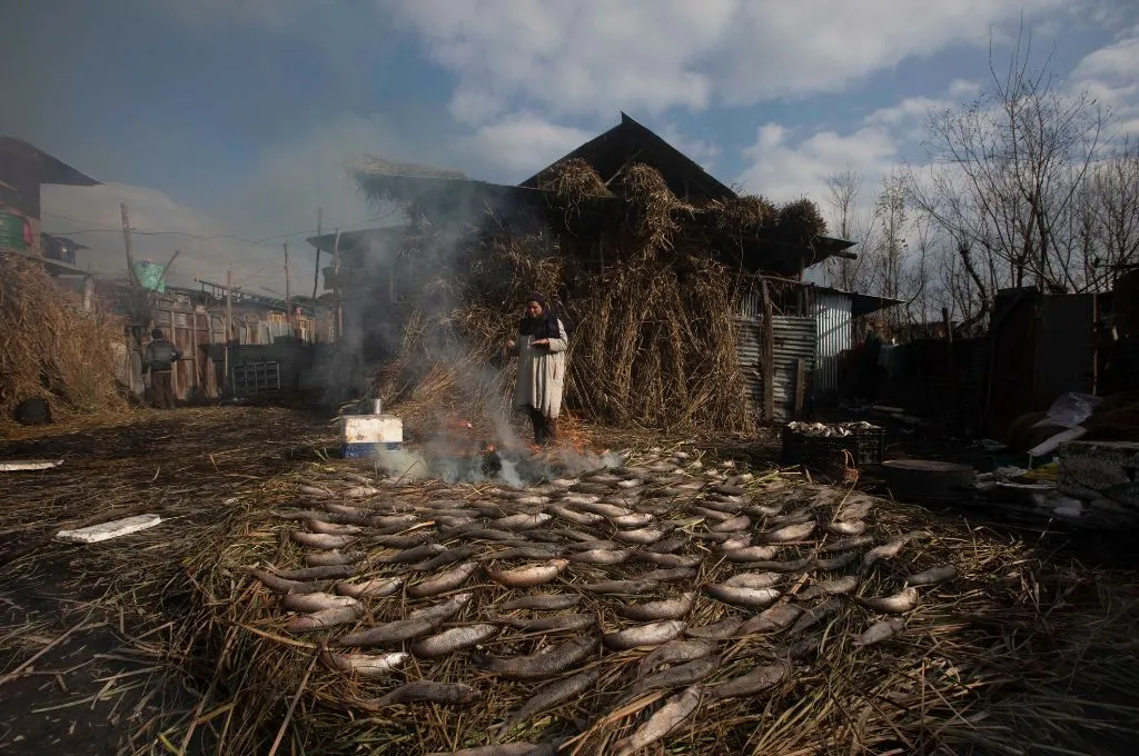 a woman smoking and drying fish in Srinagar--Hanji community