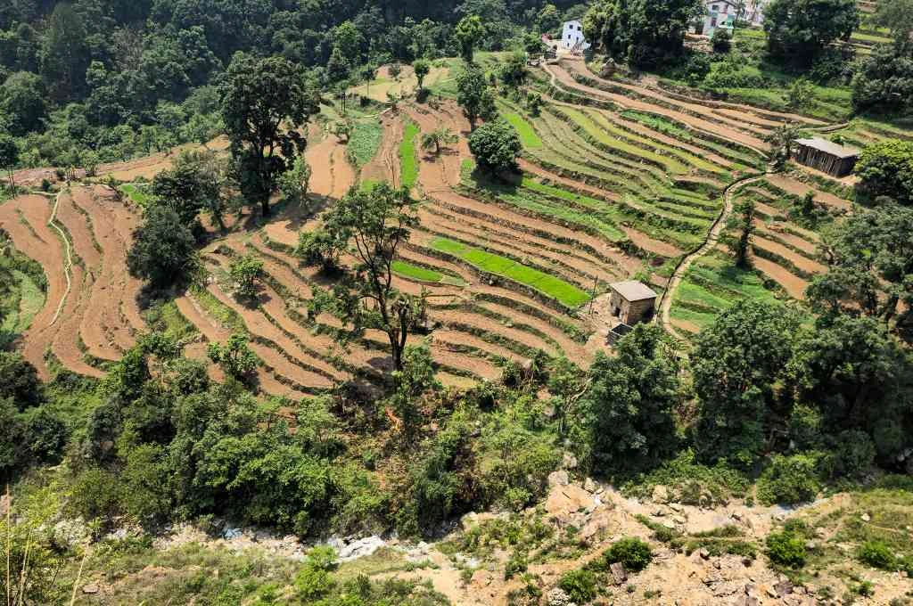 Fallow fields in Uttrakhand hilly region, with a spring nearby_water