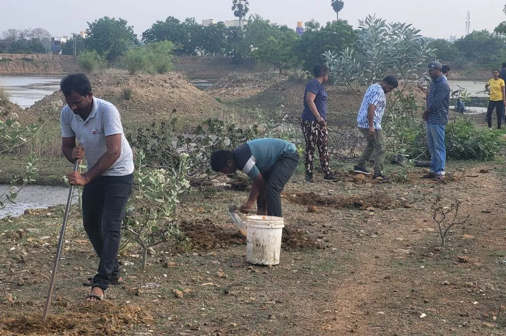 people removing invasive species of plants