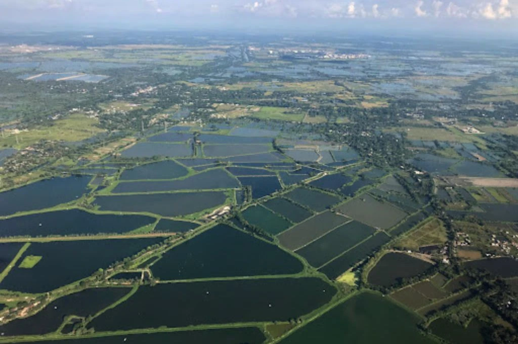 a bird's eye view of east kolkata wetlands