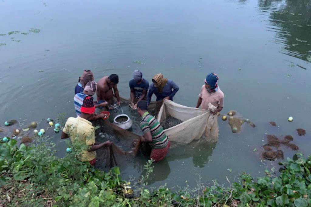 Fisherfolk working in Kolkata's wetlands 