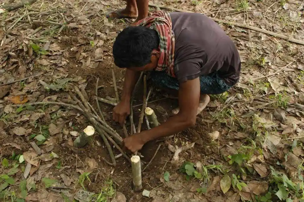 a man sharpens sticks--tripura