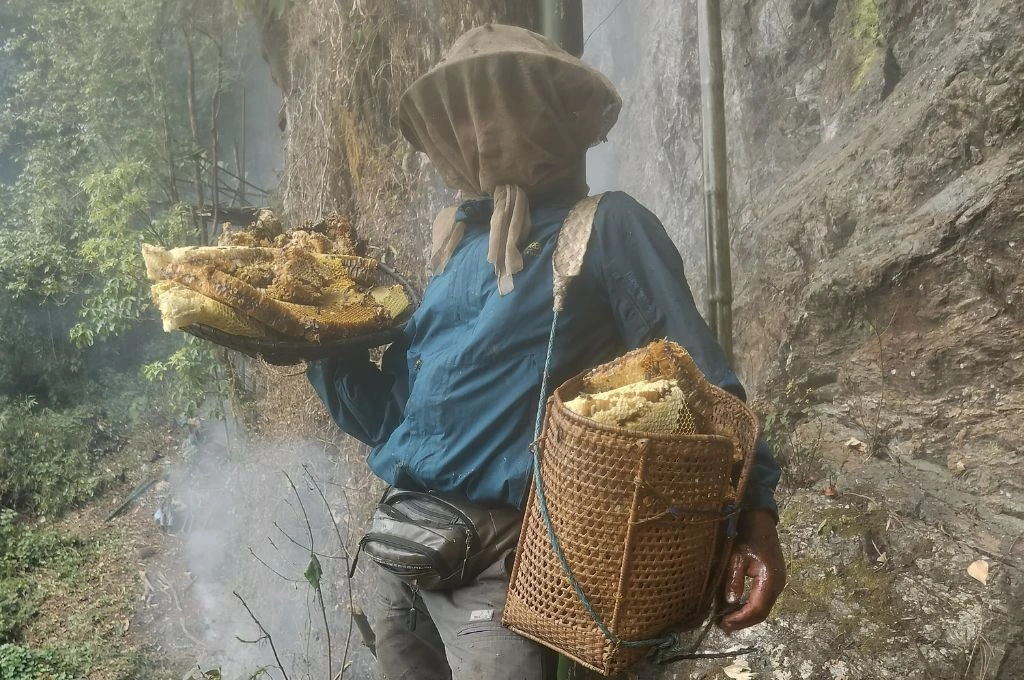A man wearing protective headgear stands holding collected beehives. - Honey harvesting