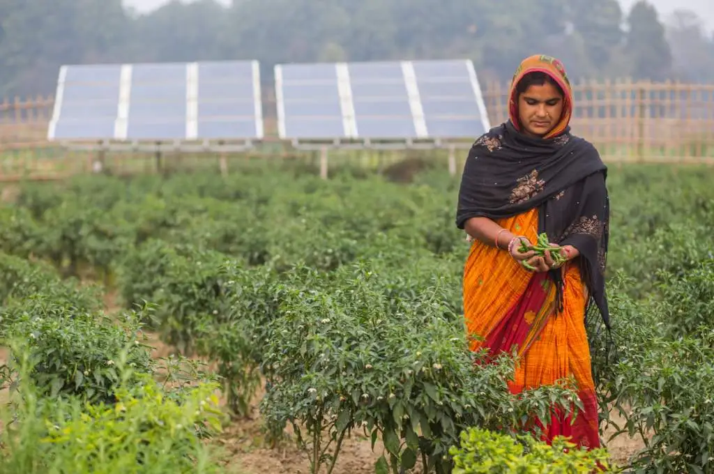 A woman stands in a field with a set of solar panels in the background._ Renewable energy