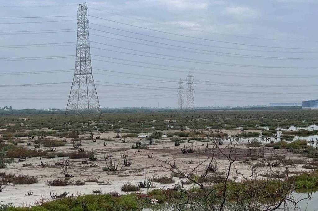 a semi arid area full of ash