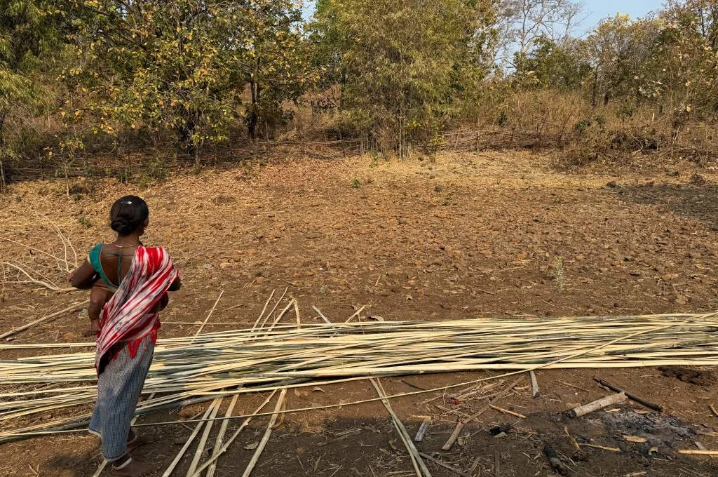 A Baiga woman on a farm in chattisgarh_ Baiga community
