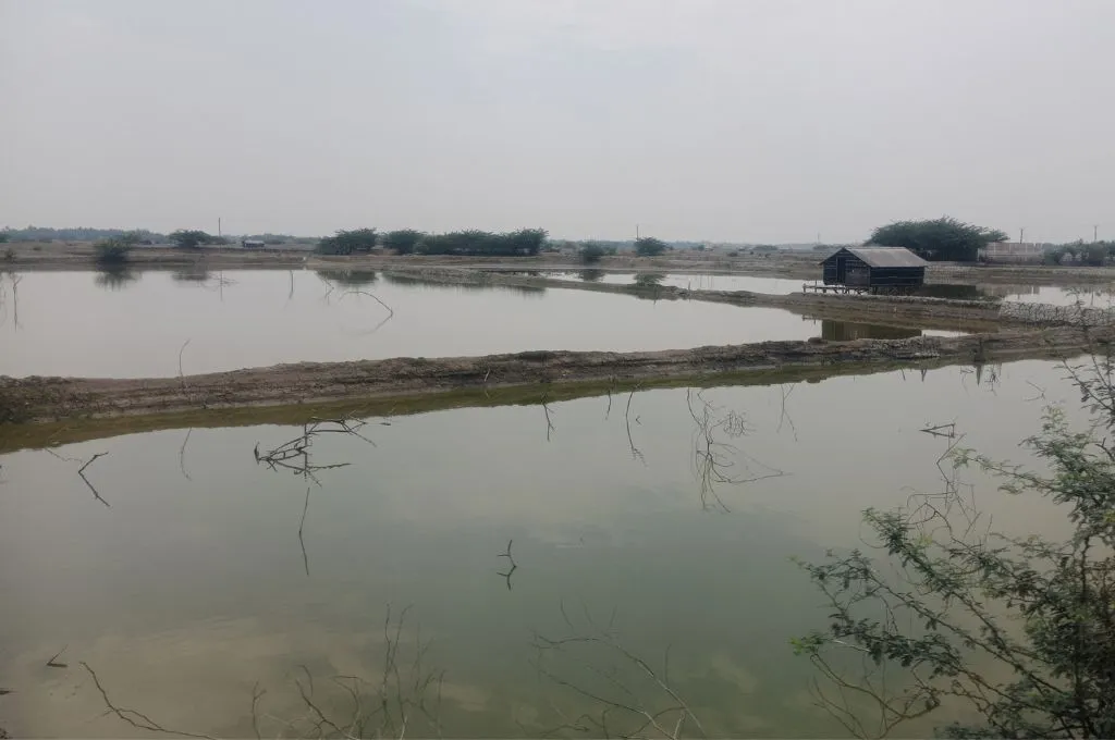 A flooded field with a house on the right corner_Sundarbans
